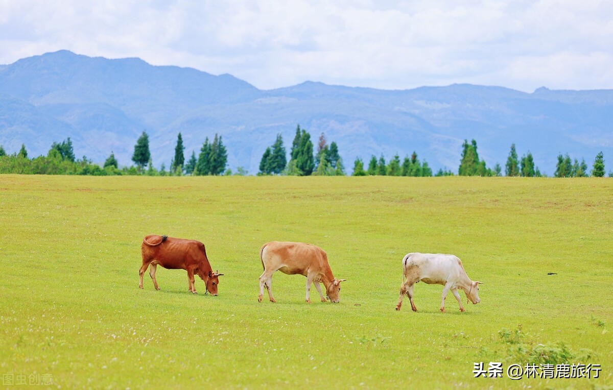 云南隐秘小众的风光,云南小城自然风景