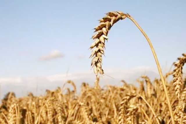 美国无法阻止中国的崛起,美国难以超越吗