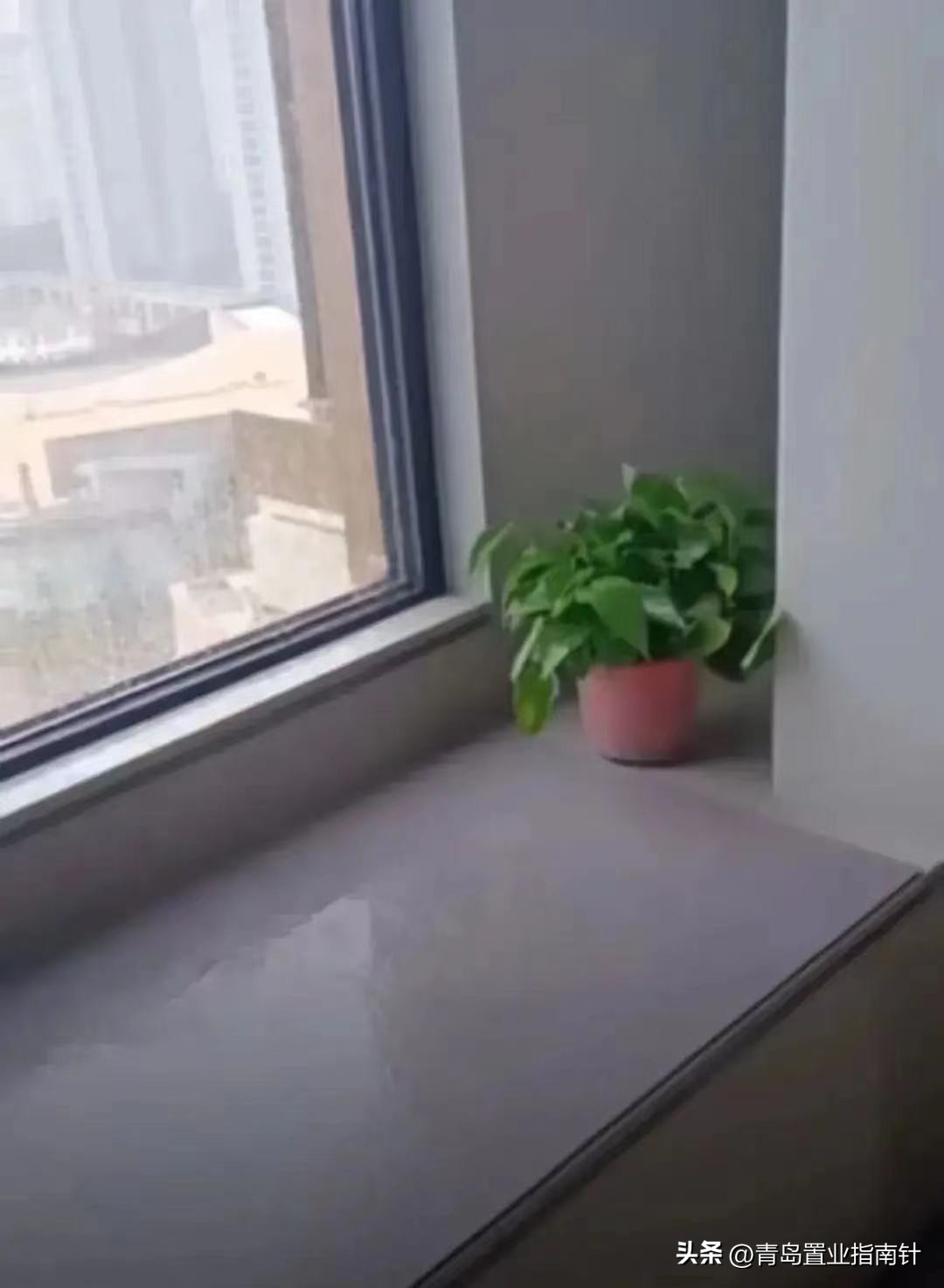 左岸风度：你为何成为了崂山楼市的“定海神针”？