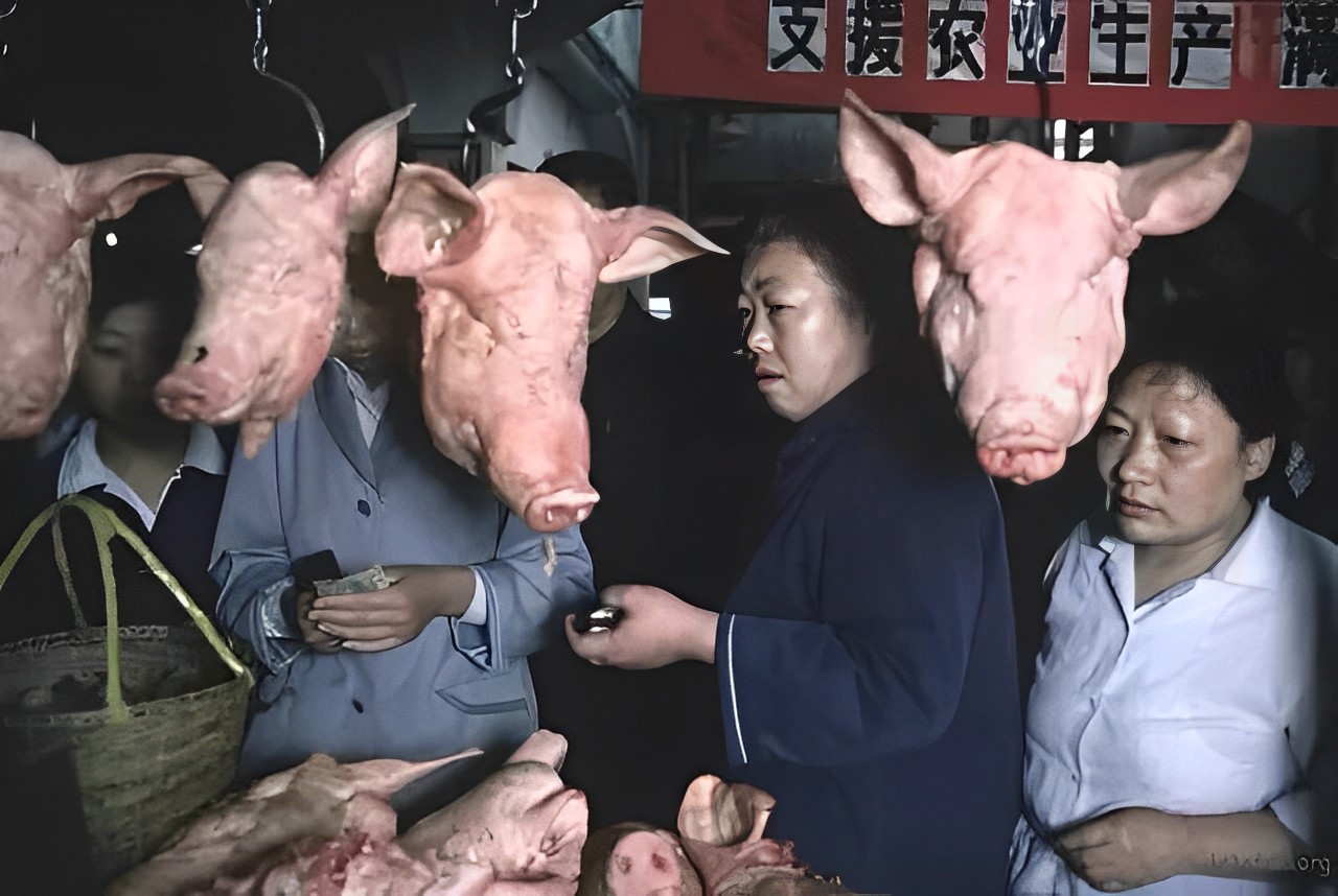 八十年代的上海老照片,踩在东海沿岸闪耀着无与伦比的繁荣骄傲