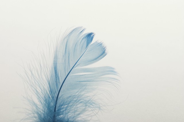 行测易混易错成语辨析,成语辨析的基本知识