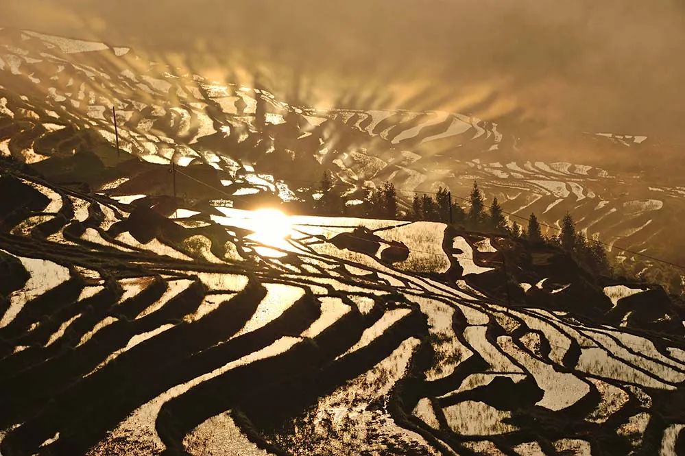 5月底桂林梯田摄影,桂林阳朔山水风光摄影团攻略