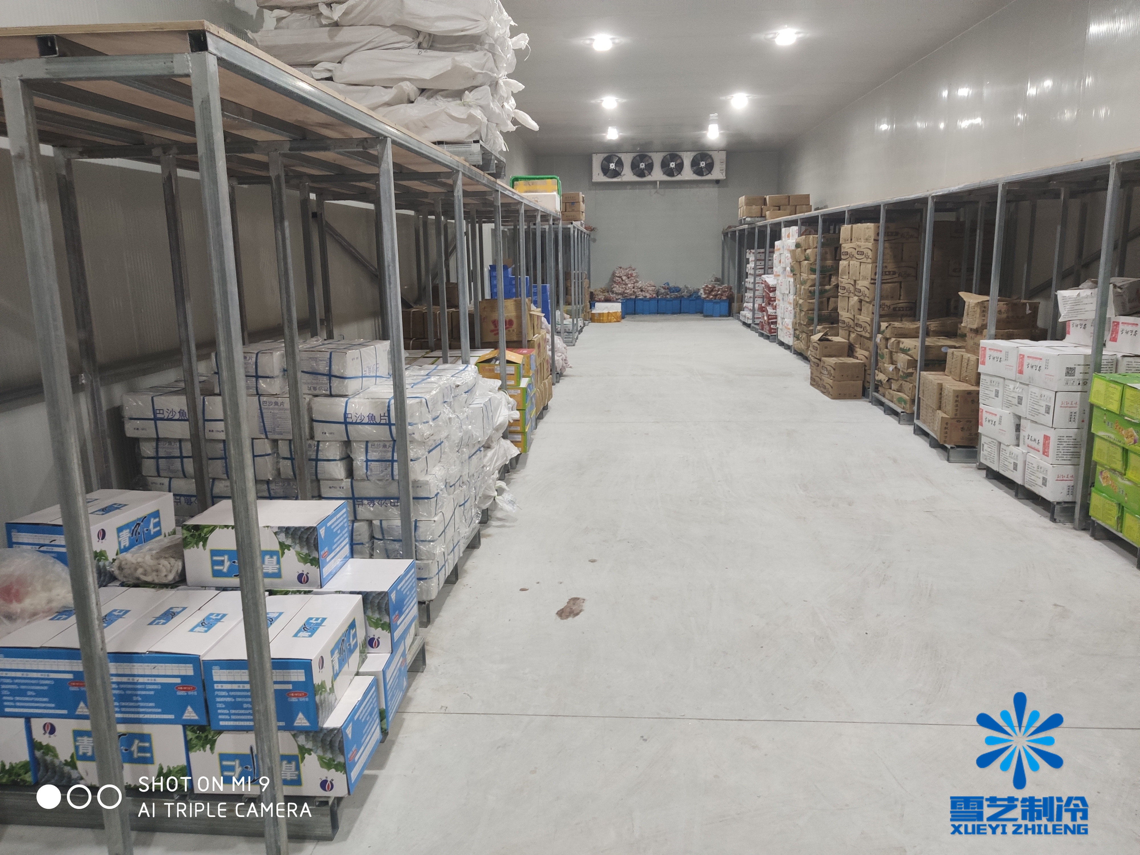 建冷库有哪些挣钱项目,建冷库有钱赚吗