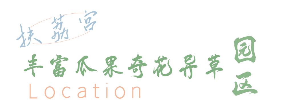 昆明著名的打卡胜地有哪些,昆明打卡地推荐西山区