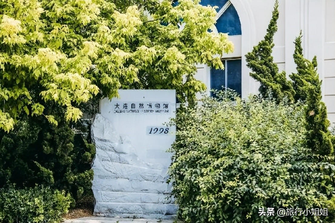 夏日海边微醺氛围感,滨城风光秀丽浪漫气息爆表