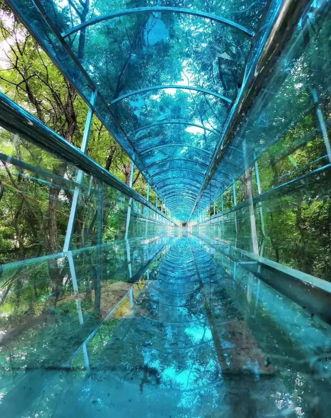 昆明夏季避暑旅游,昆明夏天避暑有哪些地方