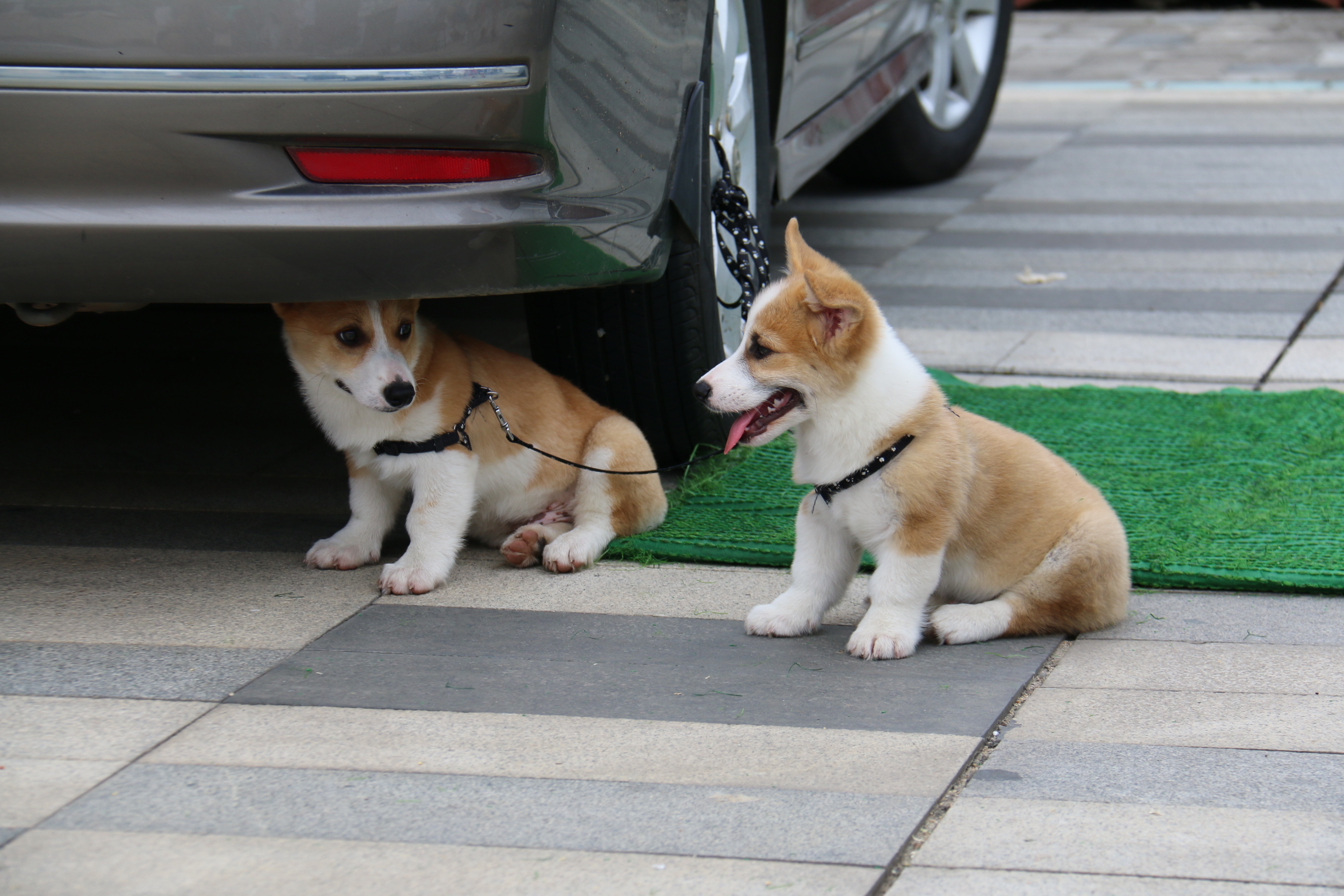 不想上班的的年轻人都在干嘛,现在的年轻人都不努力工作