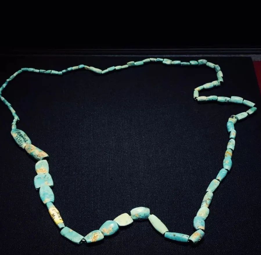 中国出土的两条龙图片,河南出土的中华第一龙