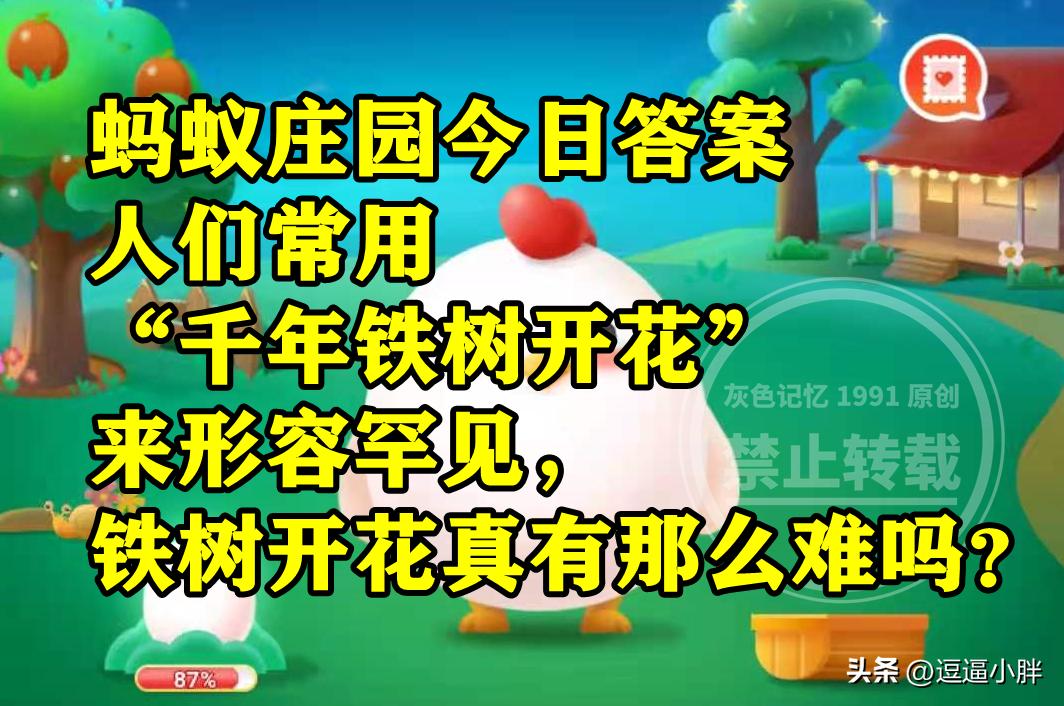 为什么说铁树开花千年难遇,怎么形容铁树开花