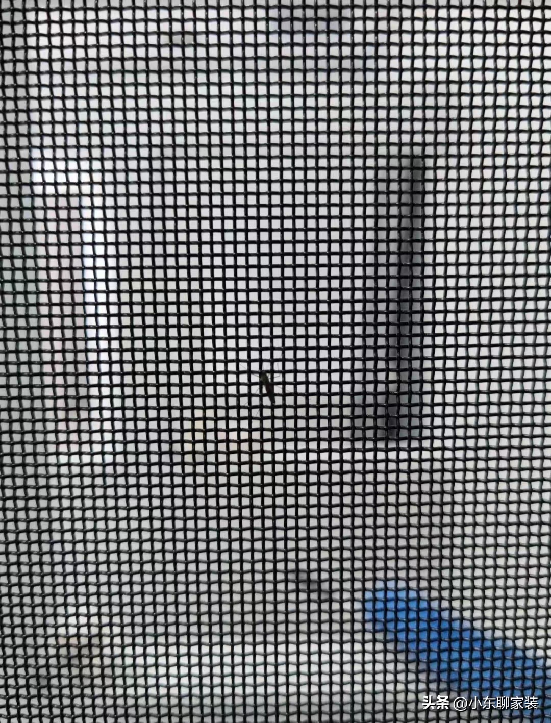 金刚网纱窗网坏了,红极一时的金刚网跌下神坛