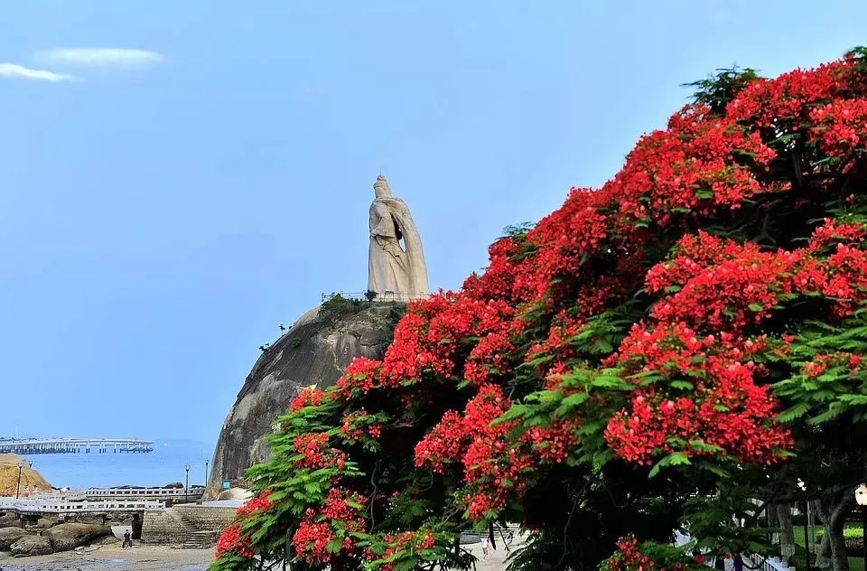 思明文旅嘉年华,思明区文化旅游