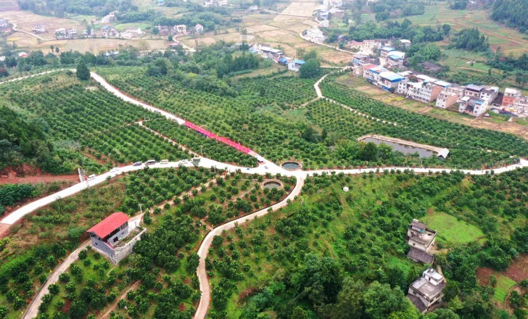 德阳中江县美食店,美食中江