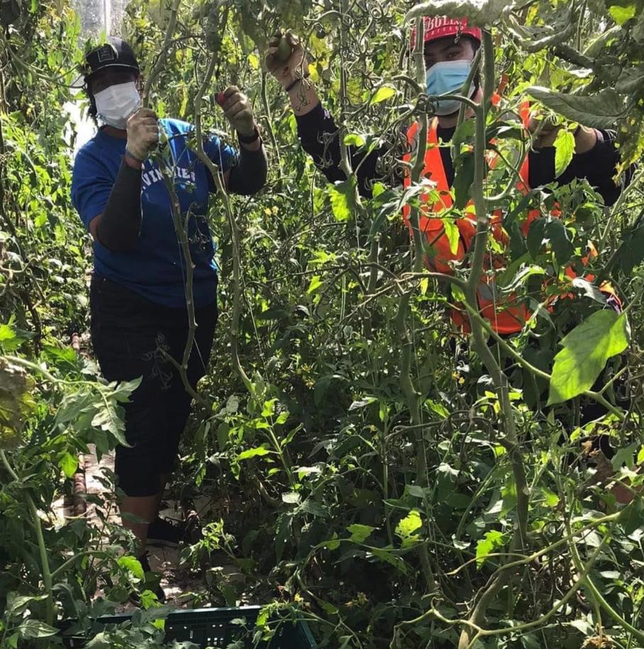 长得丑被抛弃,长得丑被人抛弃