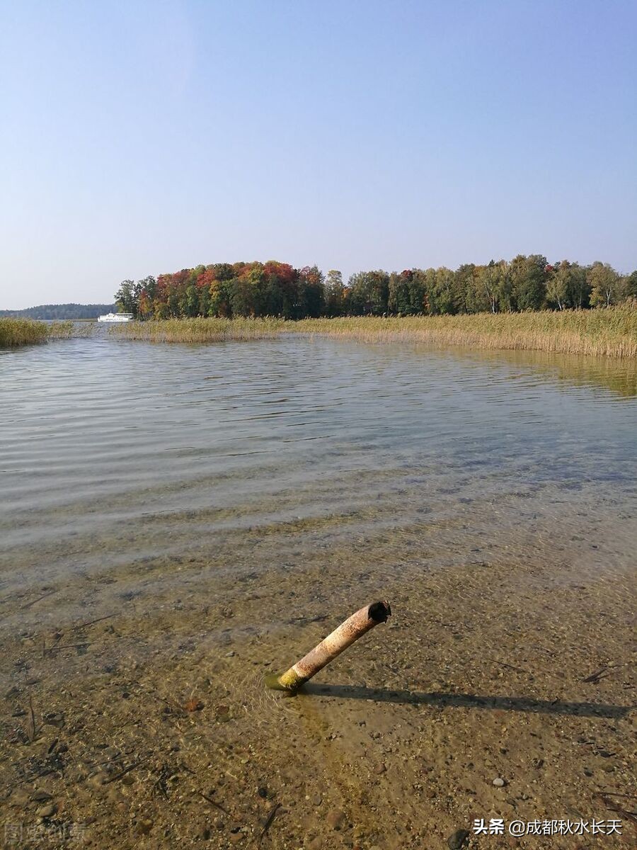 诗与远方原文及感悟,诗与远方深度分析