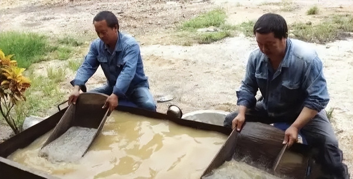 广西“上林帮”非洲淘金：火拼、疾病是常事，有人资产暴涨一个亿