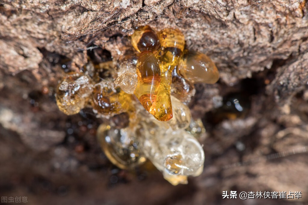 腿疼腿麻腰疼好方法,腿疼腰疼膝盖疼