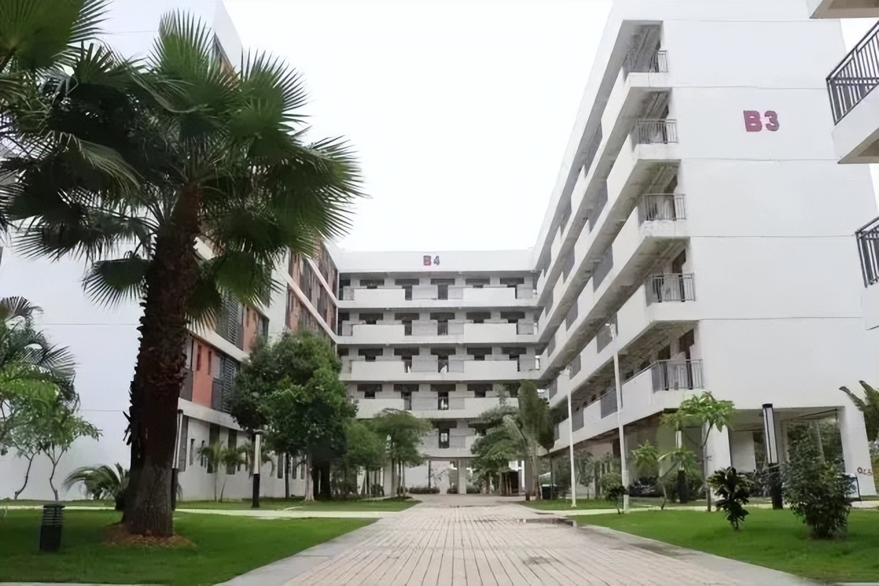 华中师大龙岗附中历任校长,华师附中深圳龙岗校区校长