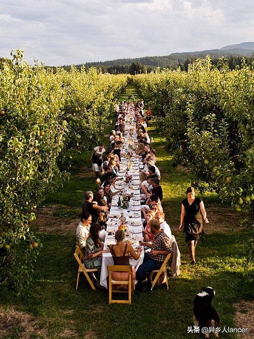 家庭农场：是否能成为乡村致富的新风口？