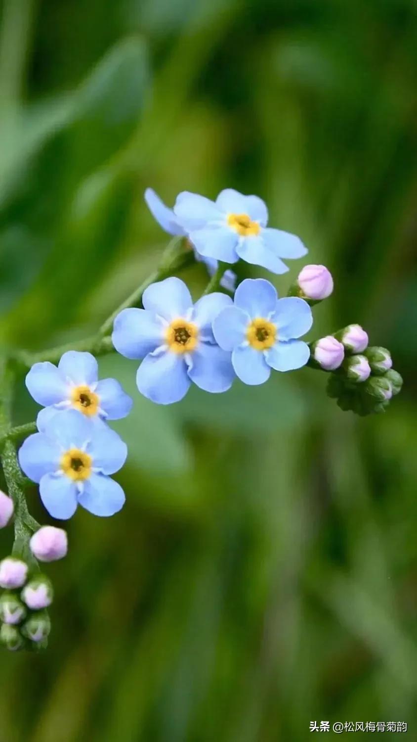 地上的花开万紫千红,心中有花香人生四季皆风景
