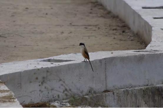 用以前的老相机拍照是什么体验,十年前的老相机该如何用
