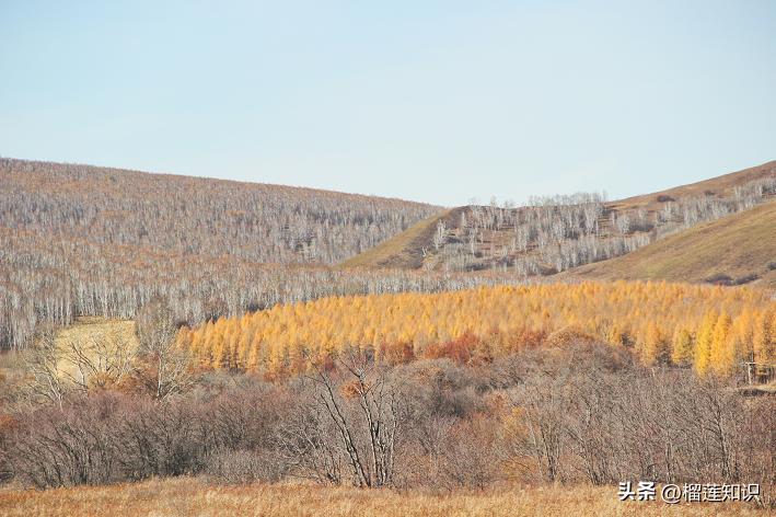 中国有多个位列第一的人、事、物你知道哪些呢？
