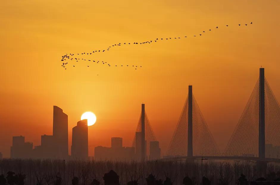 极美南京晚霞,极美南京幸福金陵