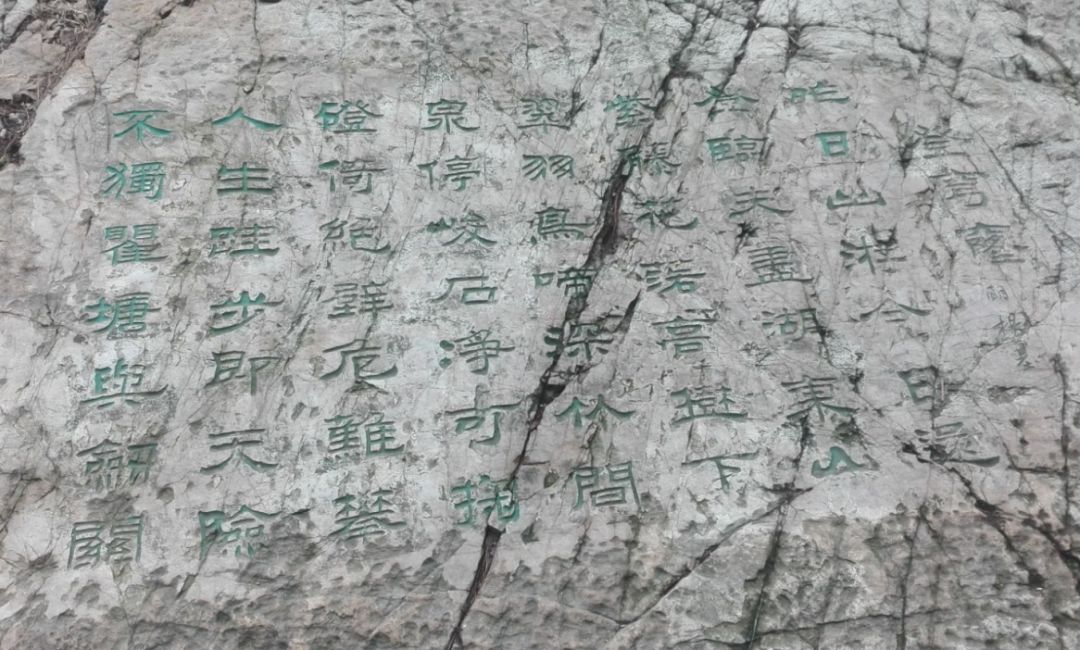 爱旅经常组织的市内登山路线，传说健康的人都去了这里......