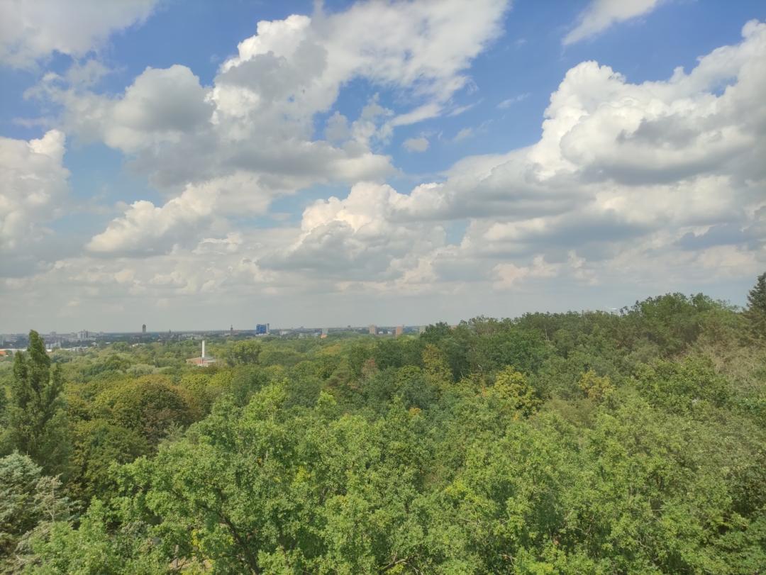 生育率下降的全球趋势,全球生育率下降趋势