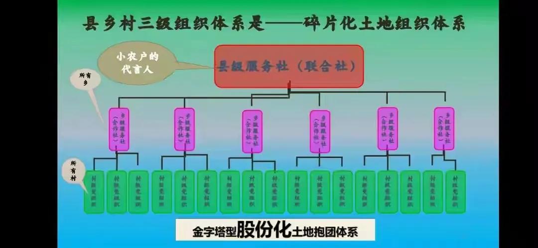 乡村振兴公益商业模式,乡村振兴的农业思路探讨