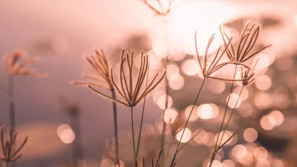 2023，只愿时光不老，只许故人不散