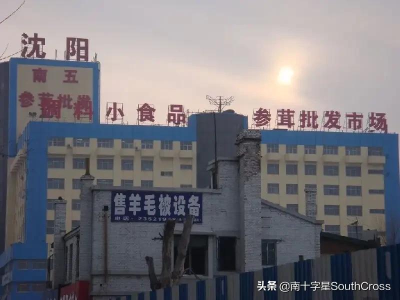 沈阳小伙通过海外独立站卖山货，年赚千万