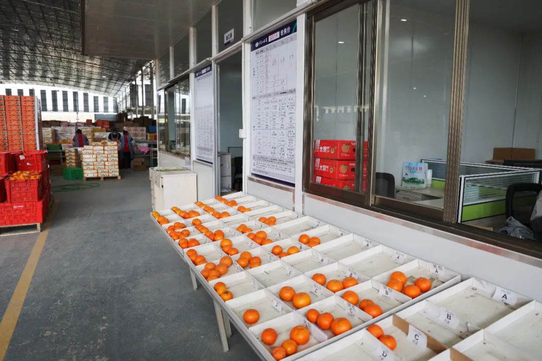 从0.6元到4元,优质优价能否引领农民种好果?