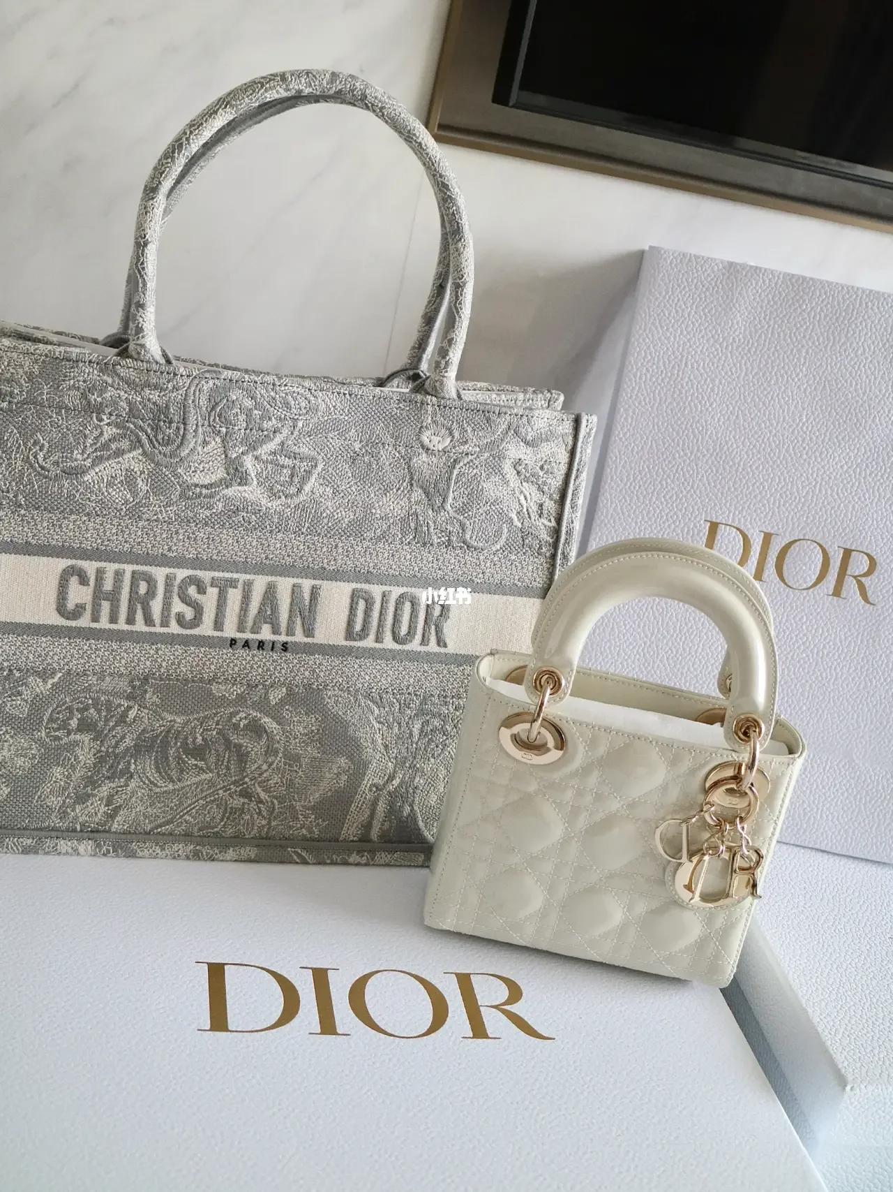 dior早春新款包,dior新包限量版