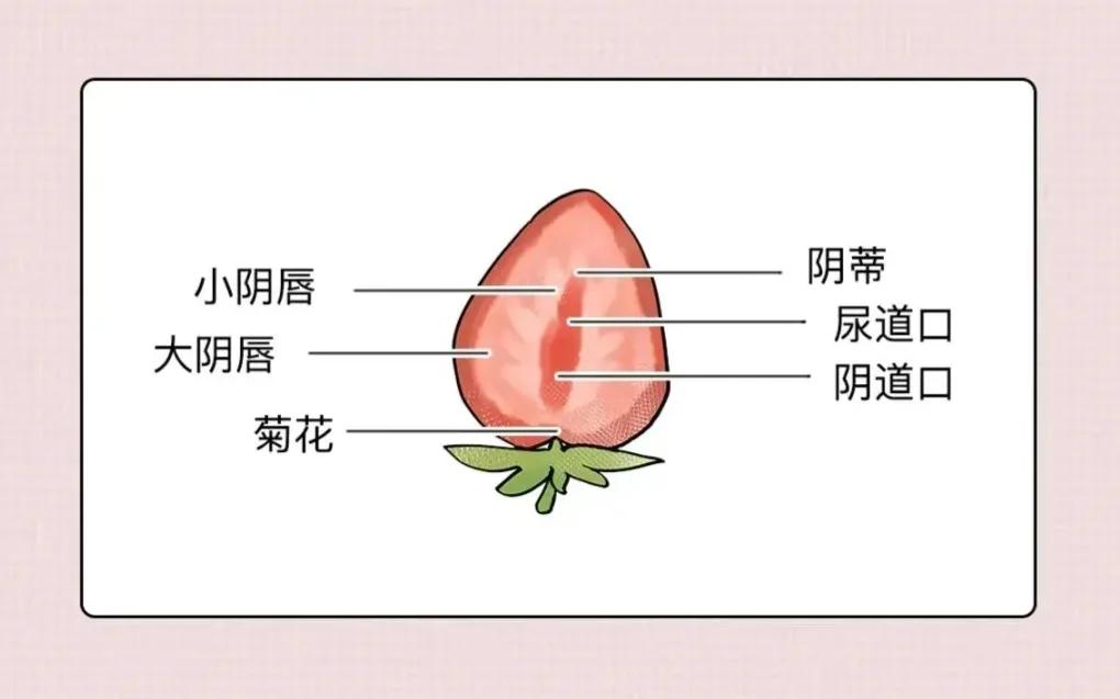女生要知道的十个妇科常识,女生必须知道的7条妇科常识