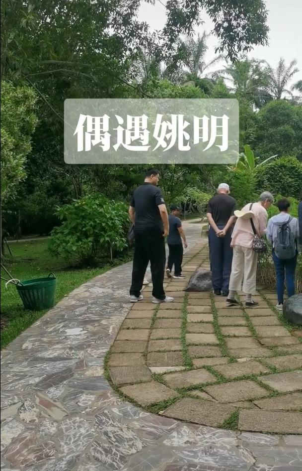 姚明现身云南！姚妈妈拄拐杖一头白发，姚沁蕾身高快1米9了