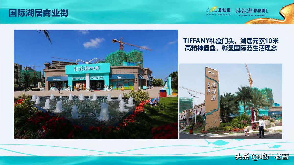 碧桂园精准发展方案,碧桂园的商品房改造方案