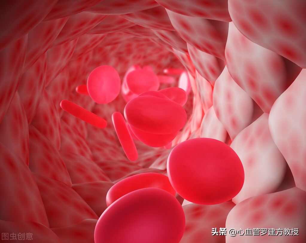 体检血小板高会是什么病,体检查出血小板增高