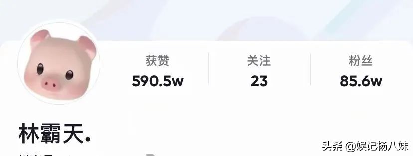 整成鞠婧祎的人叫什么,整成鞠婧祎