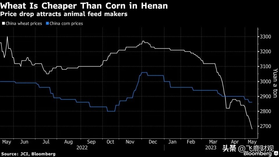 巴西超越美国向中国出售更多的玉米;谷歌正在向微软发起反击