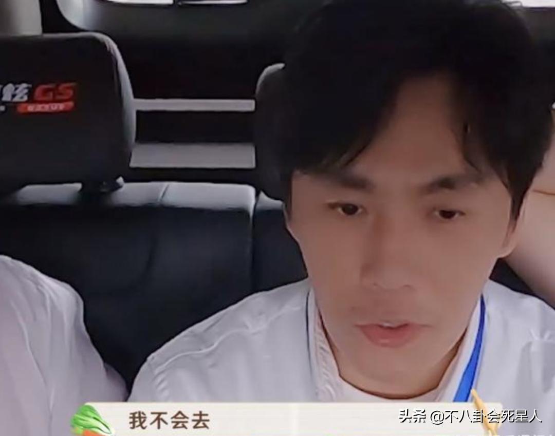 殷桃雷佳音还会工作吗,殷桃杨烁综艺