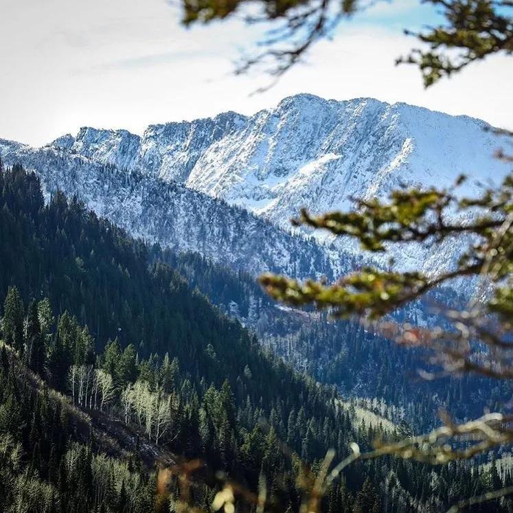 抢不到冰墩墩是什么梗,冬奥会冰墩墩2022