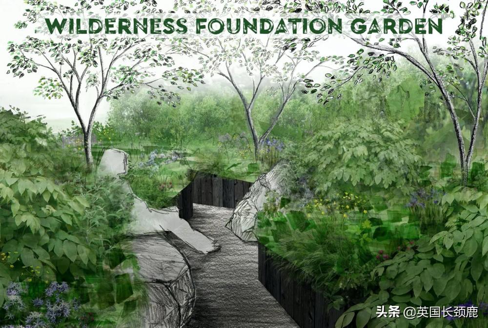 2020年切尔西花展抢先看,2023年切尔西花展