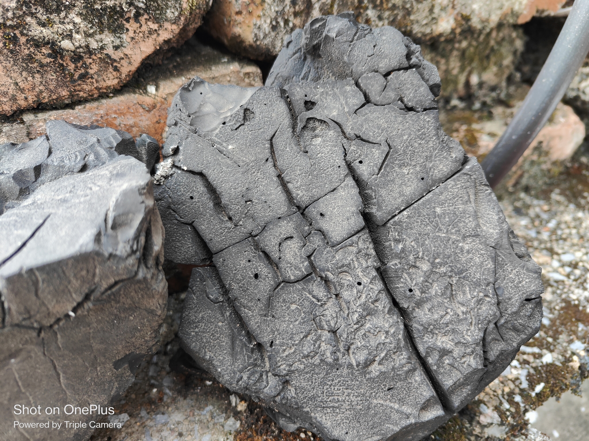 双机党iphone13promax,入手两个苹果手机怎么选择