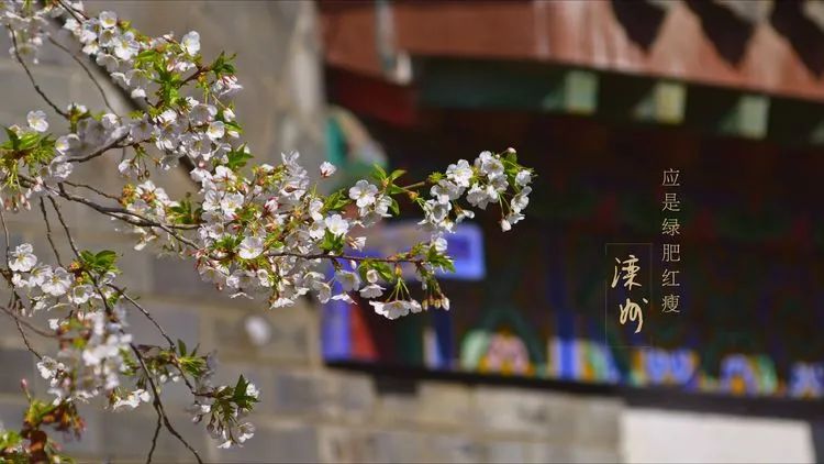 滦州古城都有哪些特色美景,滦州古城江南