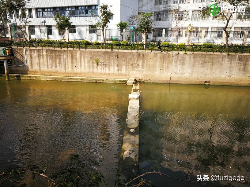 深圳徒步路线从梧桐山到盐田,深圳十峰大南山徒步最佳路线