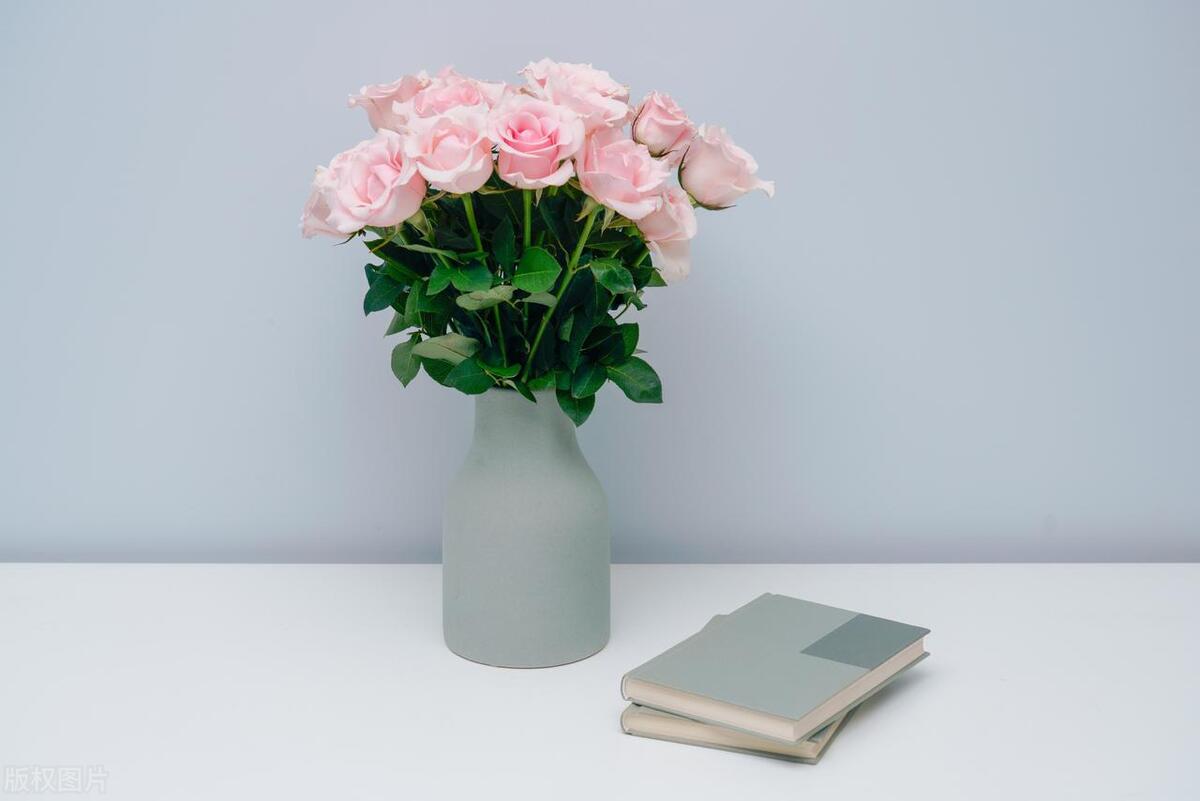 女孩子除了玩手机还可以干啥,女生除了玩手机可以做的事