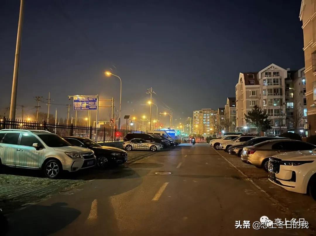 我的故事：12月的生活小记