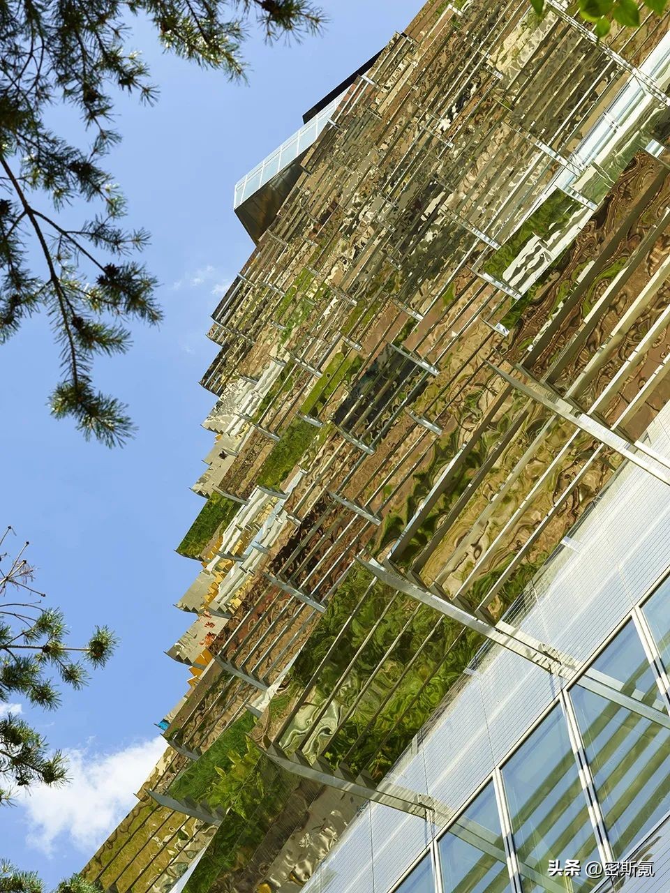 世界杯16强对阵葡萄牙,世界杯16强对阵表日本比利时