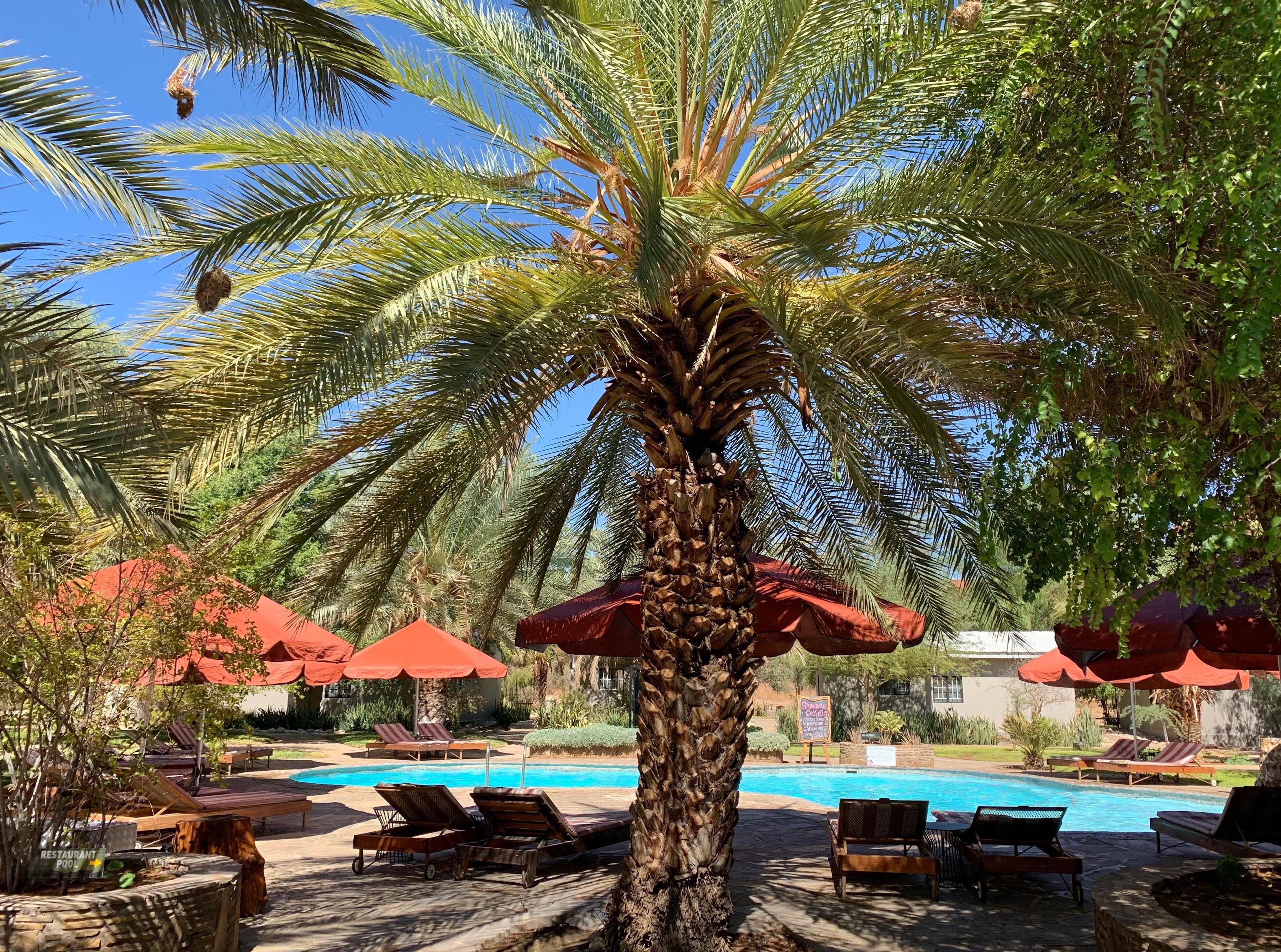 绾崇背姣斾簹绾㈣壊娌欐紶,绾崇背姣斾簹娌欐紶涔嬫梾