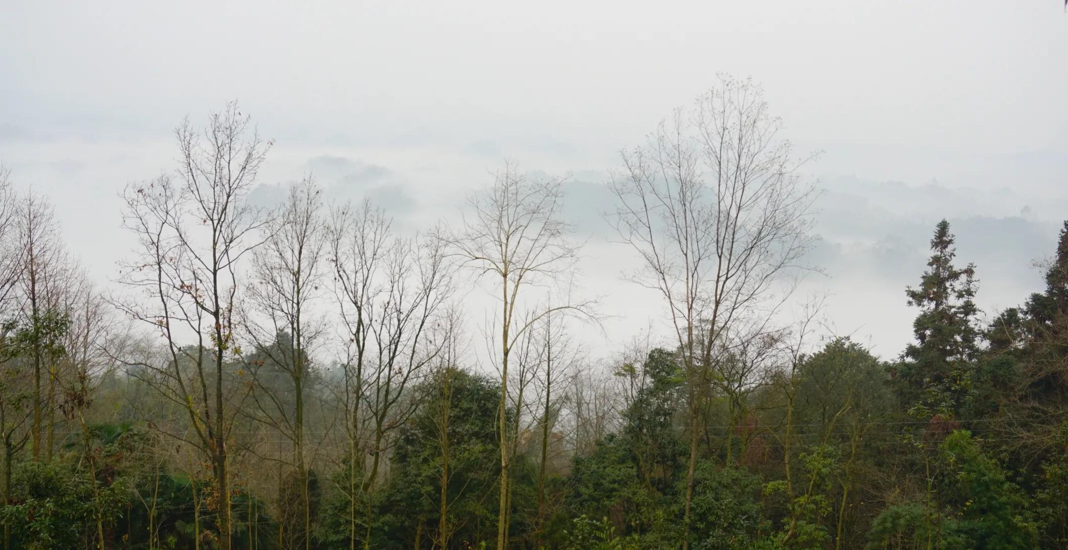 五台山文殊道场讲解,慈悲三昧水忏上中下卷全文注音版
